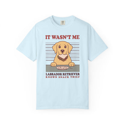 Labrador Retriever Shirt, It Wasn't Me Known Snack Thief Funny Dog Comfort Colors Tee