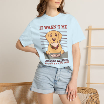 Labrador Retriever Shirt, It Wasn't Me Known Snack Thief Funny Dog Comfort Colors Tee