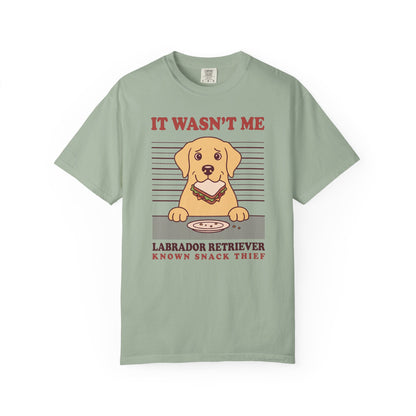 Labrador Retriever Shirt, It Wasn't Me Known Snack Thief Funny Dog Comfort Colors Tee